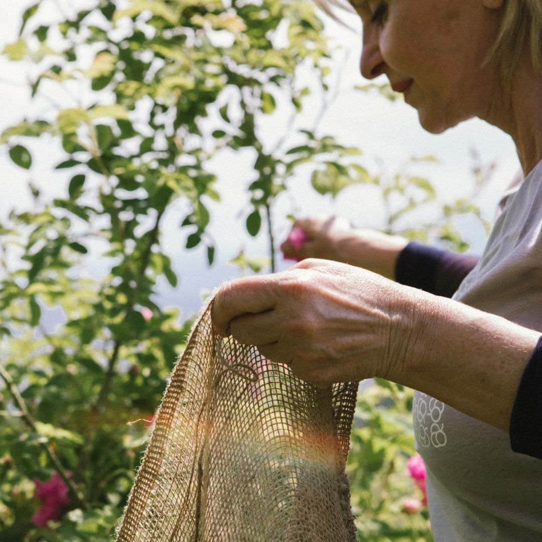 "Jaunystės (Anti Aging)" arbata